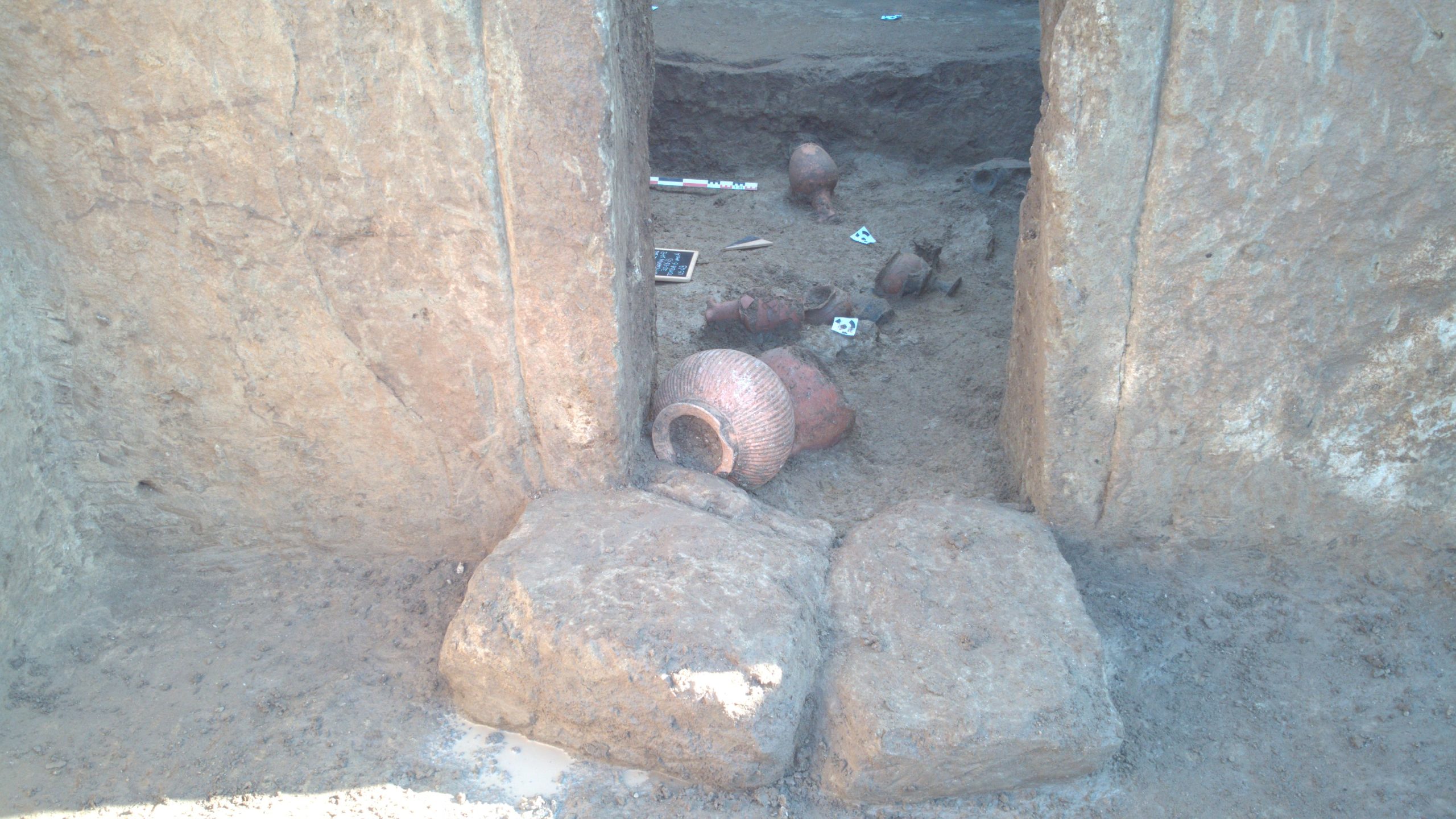 Tumulo di Casal SELCE, Tomba 6, vano A, Oinochoe in bucchero 